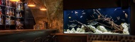 Aquariums de luxe